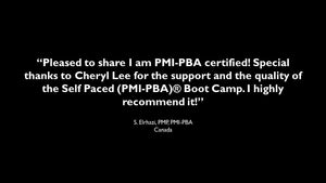 PMI-PBA Virtual Course High Review